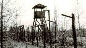 по тундре по железной дороге