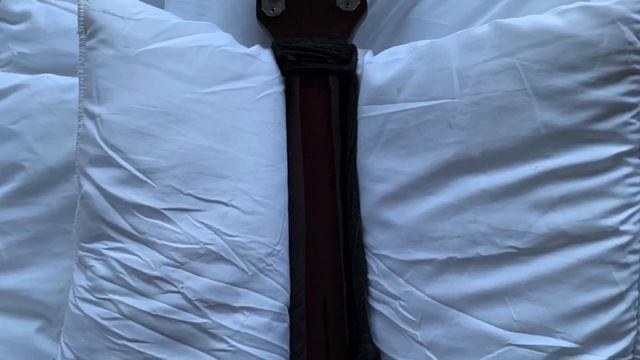 Samick 12 String SW115-12 смотреть онлайн