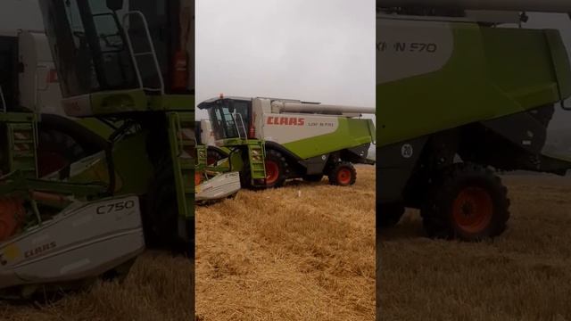 Уборка пшеницы началась 27.07.2022 смотреть онлайн