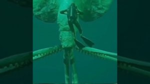 МОРСКОЙ ОБИТАТЕЛЬ.