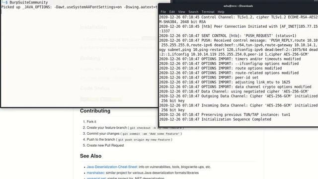 Hackthebox Feline User Flag смотреть онлайн