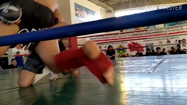 Бой TARAZ FIGHT CLUB ✊ смотреть онлайн