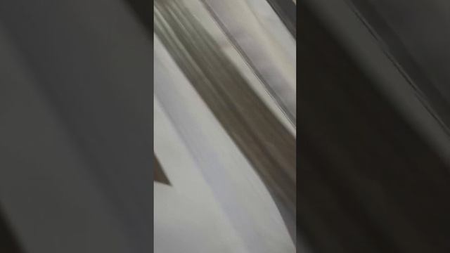 Роджер Зефир треск ткани под ножом. смотреть онлайн