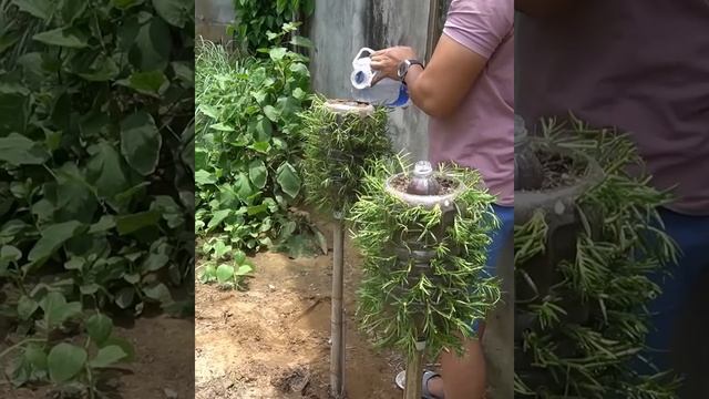 Креативные идеи по выращиванию цветов для небольших огородов или садов! смотреть онлайн