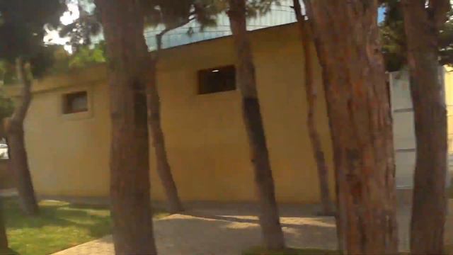 206. Вся правда о Шахидах. Черный январь. смотреть онлайн