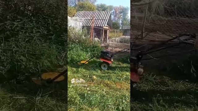 Покос травы мотоблоком смотреть онлайн
