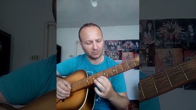 Александр Резников - инструменталка " ПУТЬ ДОМОЙ " ( кавер на Дидюля ) смотреть онлайн