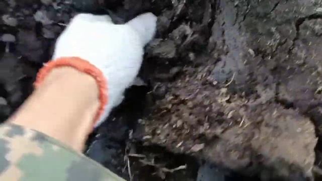 #металлокоп #коп в Затоне Ж/Д шмурдяка Цена железа 50 тенге смотреть онлайн
