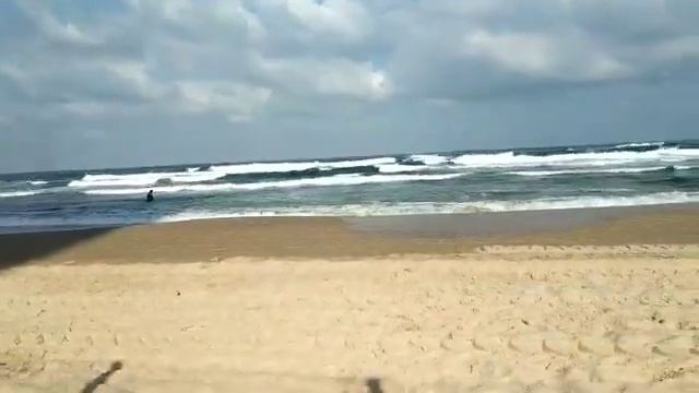 Народ Моря - рассказ старого дельфина смотреть онлайн