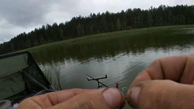 Фидерная ловля на Вилейском канале. Рыбалка на фидер. Рыбалка в Беларуси. смотреть онлайн