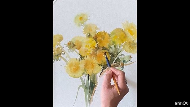 Одуванчики. Акварель Марина Ласаева