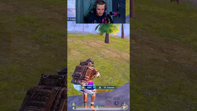 КЕНТ Челлендж со скорпионом 😱 смотреть онлайн