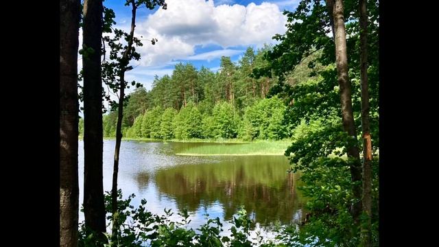 Национальный парк «Орловское Полесье» смотреть онлайн