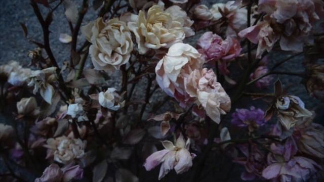 Breezeblocks || Alt-J Lyrics смотреть онлайн