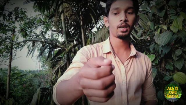 Natural remedies for wound healing/red flame ivy/മുറികൂടി смотреть онлайн