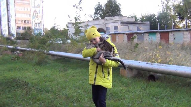 Супер Кот // Stacy Cool // Super cat смотреть онлайн