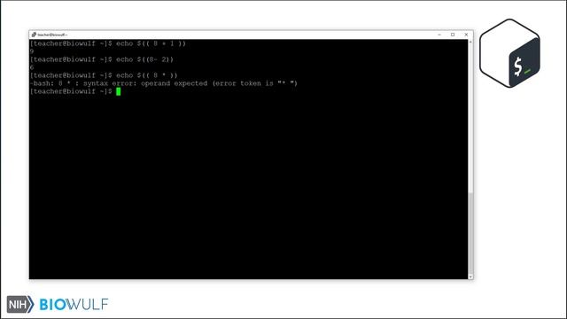 Bash Scripting Class: Arithmetic Expansion смотреть онлайн