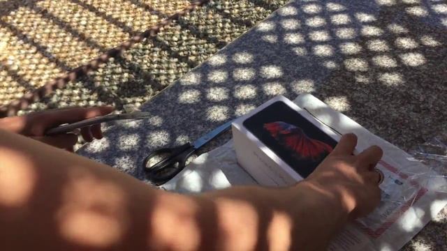 Распаковка IPhone 6s Plus! (Unboxing IPhone 6s) #38