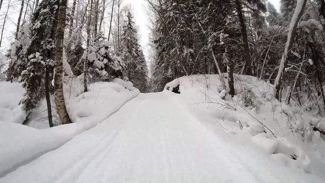 Лыжная прогулка. смотреть онлайн
