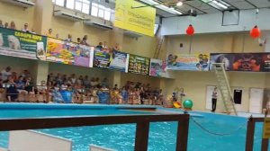 #Геленджик #Дельфинарий #Дивноморское #отпуск Культурная программа