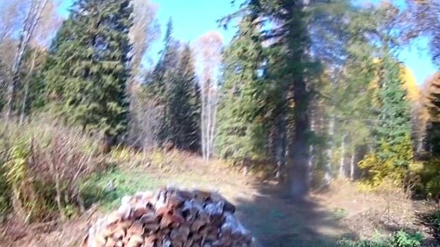 Осенние будни в тайге Захожу на промысловый участок смотреть онлайн