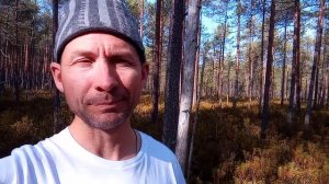 Баня и болотный багульник