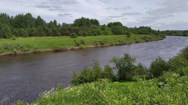 Веселова Светлана Ивановна. Библиотекарь Буйской МБ. "Тебза река" ВИ Куликов смотреть онлайн