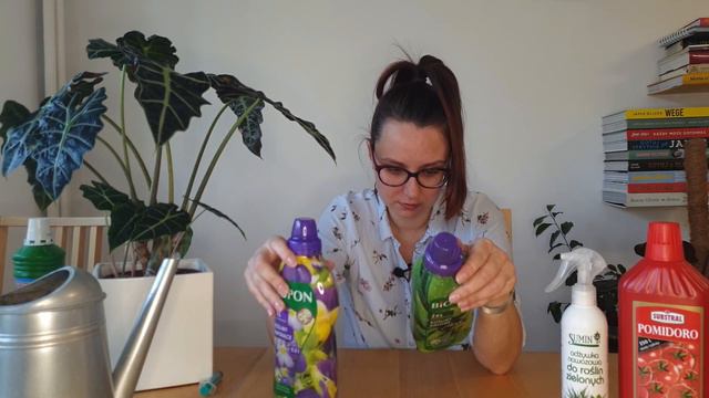 Nawożenie Alocasii (03) смотреть онлайн