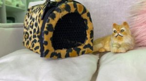 «РАСПАКОВКА с SHEIN» ??✨/ одежда для кукол?