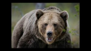 Онлайн тур «Самые красивые легенды  Крыма»