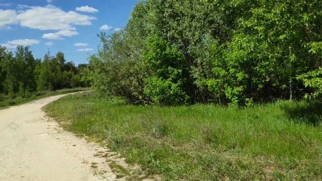 И в гостях хорошо, и дома - здорово!!!??? // АНОНС будущих роликов!!! ? // смотреть онлайн