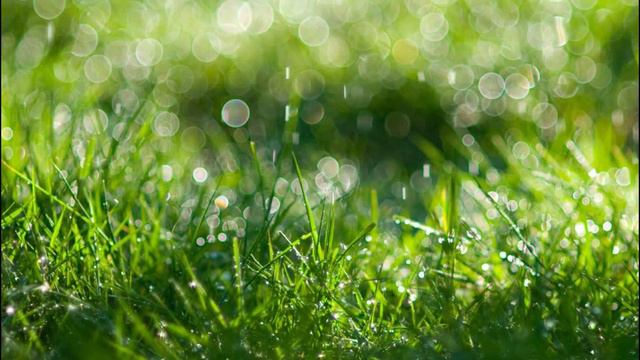 Музыка для медитации с красивой мелодией для сна, отдыха и массажа смотреть онлайн