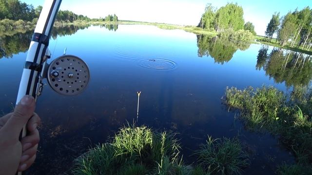 Секретная насадка на карася от бывалого рыбака. Рыбалка на поплавок смотреть онлайн