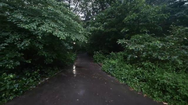 Прогулка под дождем, Центральный парк Нью-Йорка 2023 / Walking in the Rain, Central Park New York смотреть онлайн
