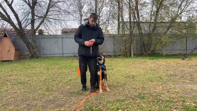 Трюк "Глазки" смотреть онлайн