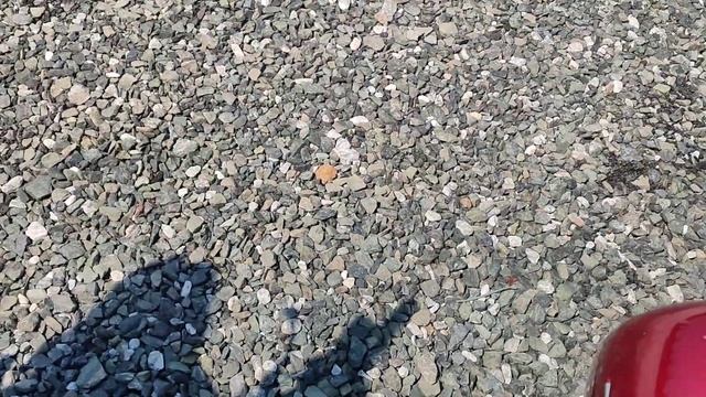 Новый друг! VTX1300C. Знакомимся! смотреть онлайн