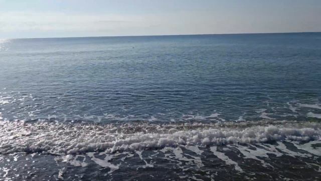 Alva Donna Exclusive Belek 5* Альва Донна Белек Турция видео обзор отеля 300+ обзоров на канале смотреть онлайн