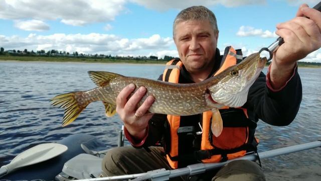 Трудовая рыбалка. Везёт, когда кто-то везёт. ZipBaits B-Switcher 4.0 сделал мне рыбалку. смотреть онлайн