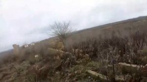 Охота с фокстерьером.