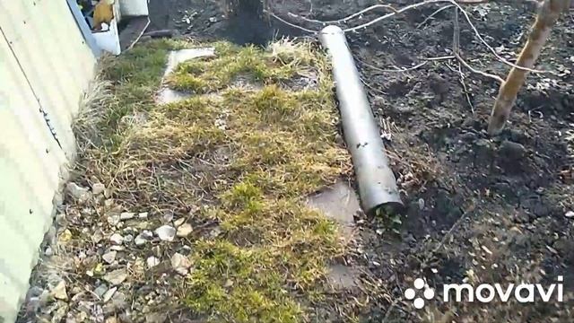 сажаю цветы огурцы.на огороде.мои пеларгонии. смотреть онлайн