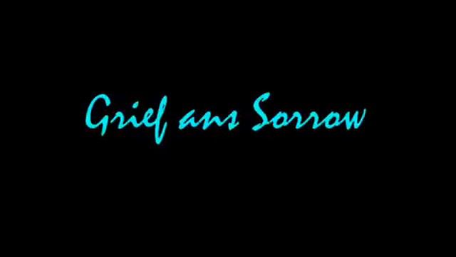 Grief and Sorrow - Toshiro Masuda.wmv смотреть онлайн