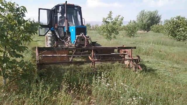 4 августа 2021 г. смотреть онлайн