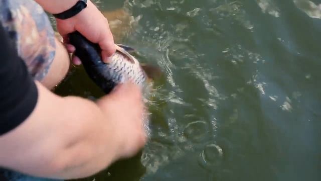 ЛАЙФХАКИ для рыбалки. Как чистить рыбу шуруповёртом | Весь инструмент — на sima-land.ru смотреть онлайн