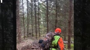 ТОЧНЫЕ ВЫСТРЕЛЫ ОХОТА НА ЛОСЯ ШВЕЦИЯ 2022, СТАЩИЛ КОНТЕНТ moose hunting in Sweden