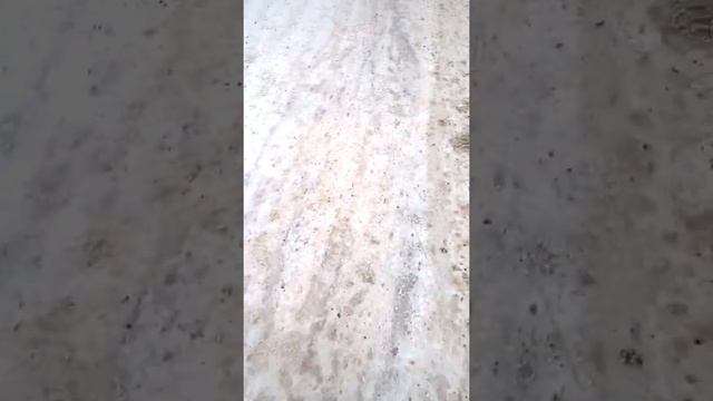 Нечищенные дорога