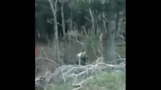 Creepy Videos without Commentary: V10 (Extra spooky edition) смотреть онлайн