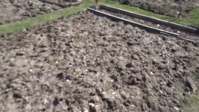 ВЛОГ Занимаемся спортом утром Первая поездка на дачу Мажоры на дороге 27.03.2017 смотреть онлайн