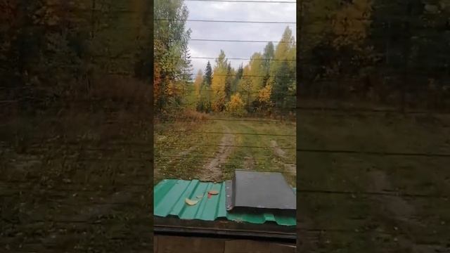 В тайгу на вездеходе.Море клюквы. смотреть онлайн