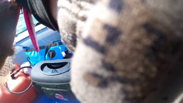 НЕДЕЛЯ ОТДЫХА НА РЫБАЛКЕ ( ЧАСТЬ ТРЕТЬЯ) / МОРСКАЯ РЫБАЛКА | Сахалинская рыбалка & Sakhalin fishing смотреть онлайн