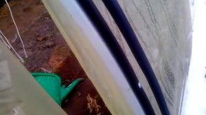 крепление пленки на металический каркас теплицы